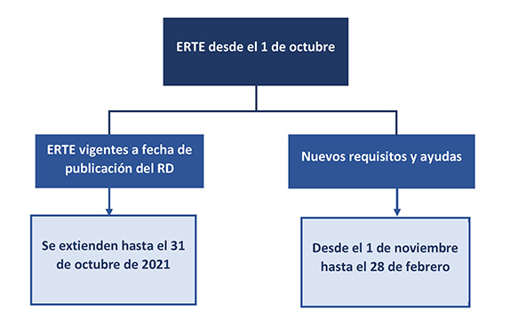 Los nuevos ERTE tendrán hasta el 5 de noviembre para presentar el listado de trabajadores afectados 1 Imagen 1 6